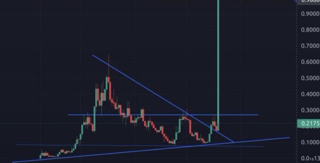 Whale Crypto Gems tweet media