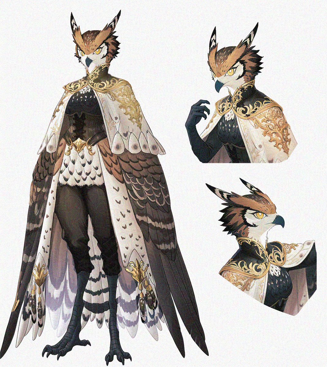 new_nonoka's tweet image. Princess Owl