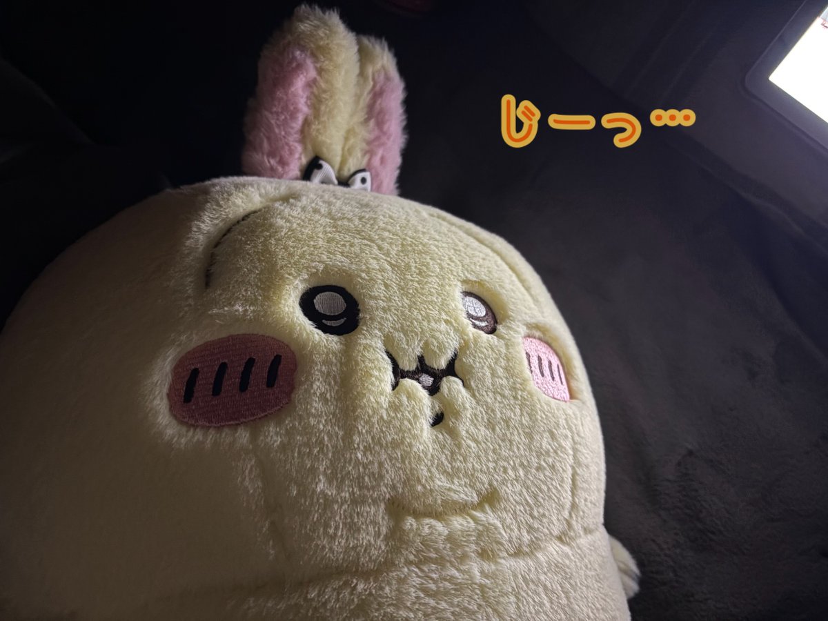 一緒にホラゲ鑑賞で夜ふかし🌃👻🎮