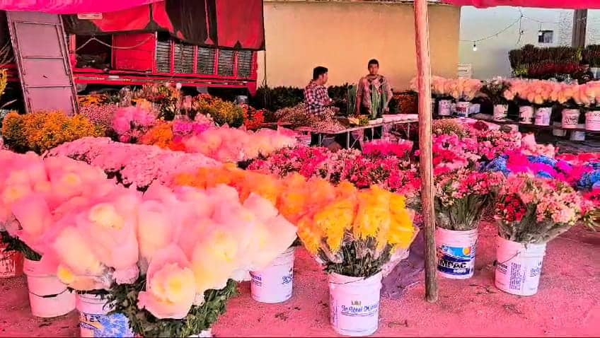 #Rosas de alta calidad en el panteón este fin de semana
Los vendedores de flores se han instalado en el panteón de #Monclova para ofrecer sus productos durante el fin de semana.
Más aqui:shorturl.at/r7NZ0