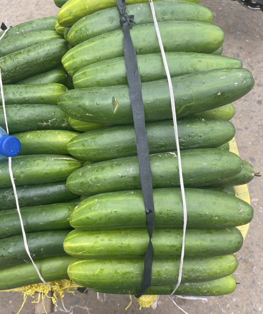 What your size here ?