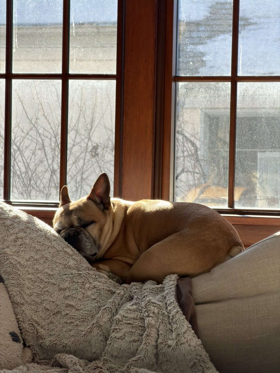JohnHeim's tweet photo. She puts the bask in basking. https://t.co/q3Gjk3VGO8