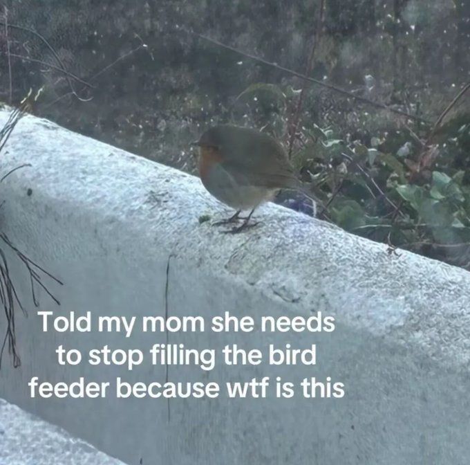 AAAAAAAAAA (@aaaaa4a4aaaaa) on Twitter photo 