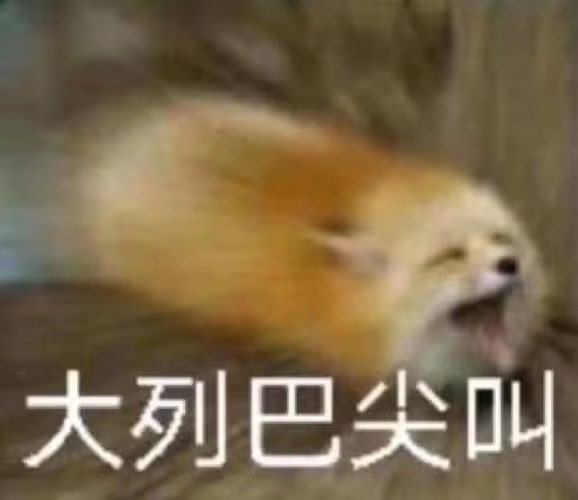 星海StO tweet media