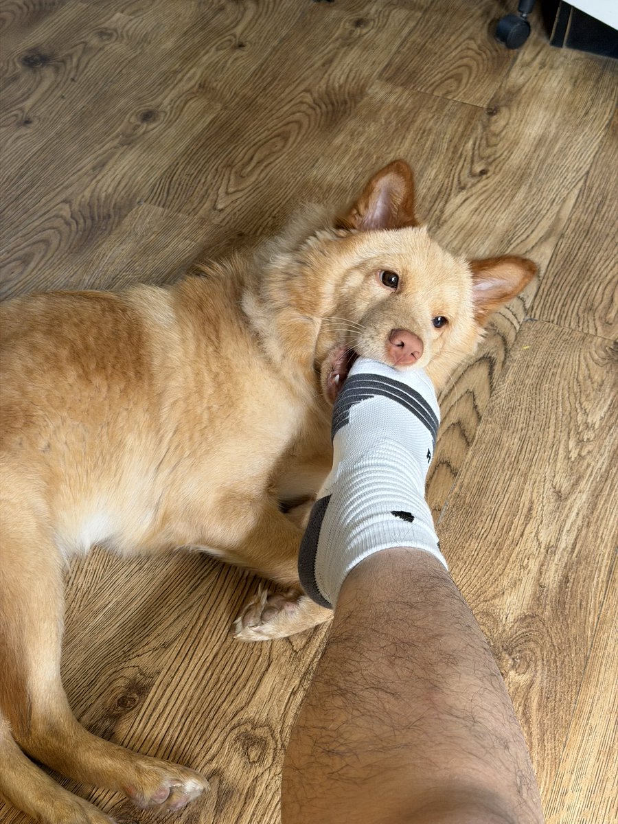 哒哒大富 tweet media