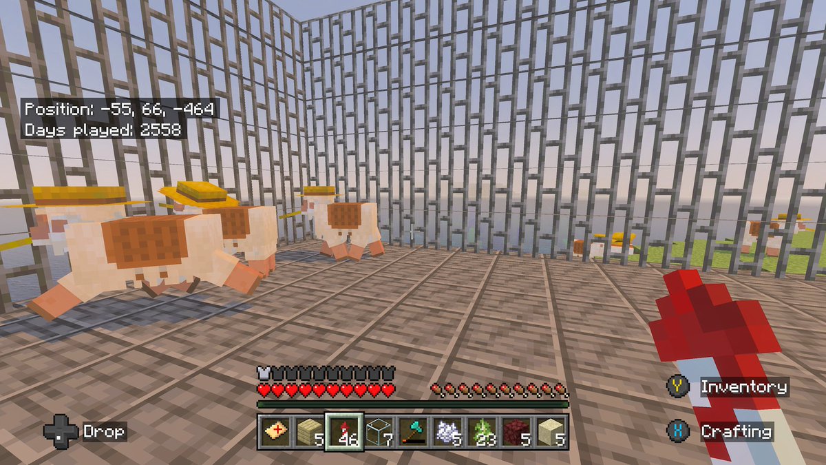 Harmony Graham tweet media