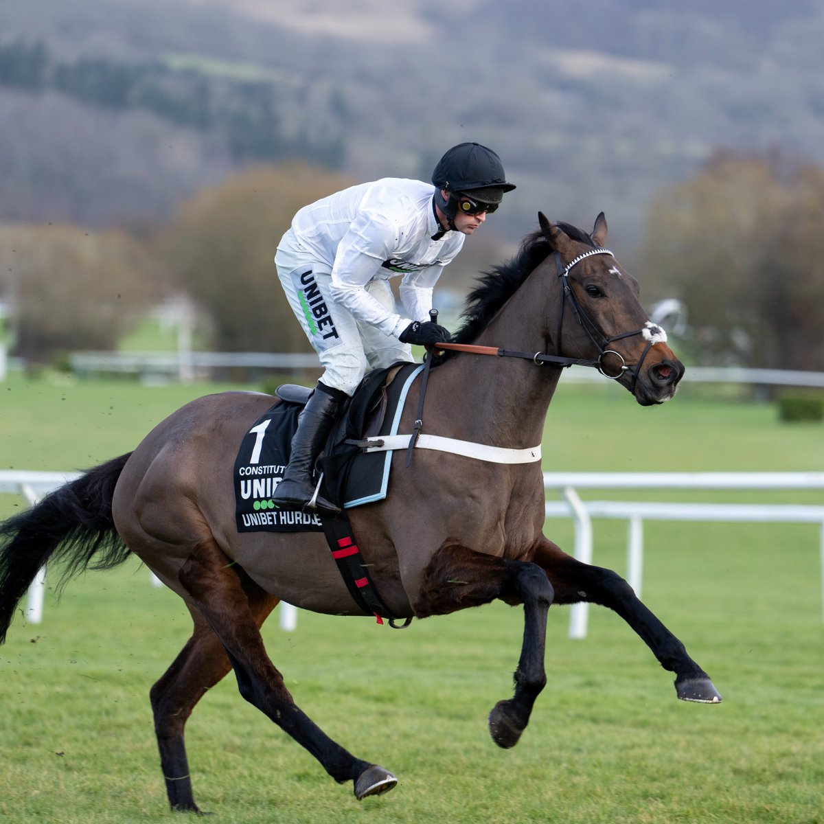 Racing Post tweet media