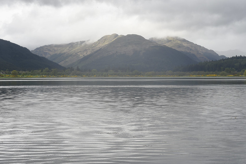 Outdoor Learning Edinburgh tweet media