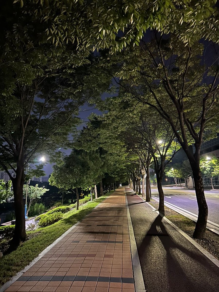 late night walks with jungwon <3