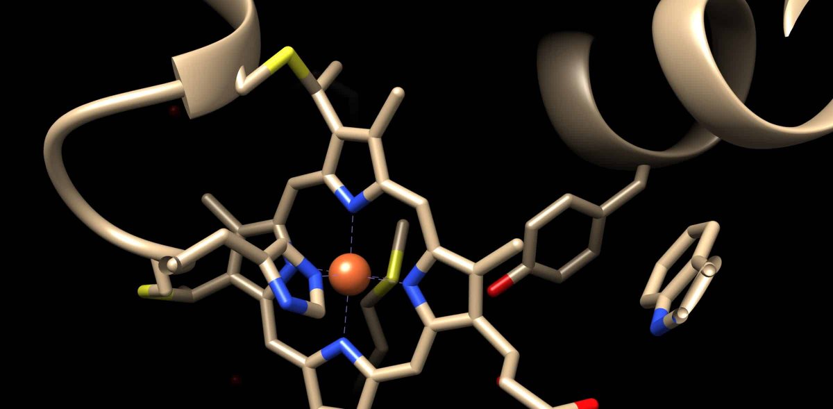 If Scientists Repurpose an Enzyme, Is It Intelligent Design? 
"Even though they left the candidates up to chance, their criteria for success were known in advance. They selected the mutants that did the job they wanted: creating a carbon-silicon bond." Link in comments