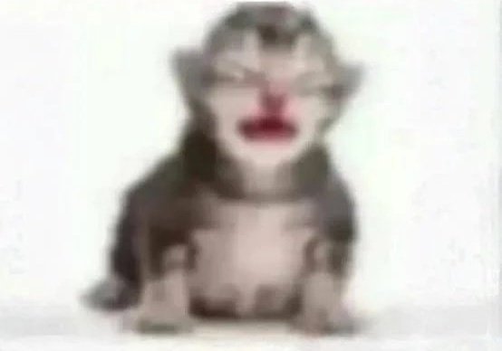 <a href="/Kbronproyectado/">Kbro</a> gente que dice que no se puede decir niga siendo latino pq es racista y ñiñiñi cuando le tiro mayonesa a los ojos