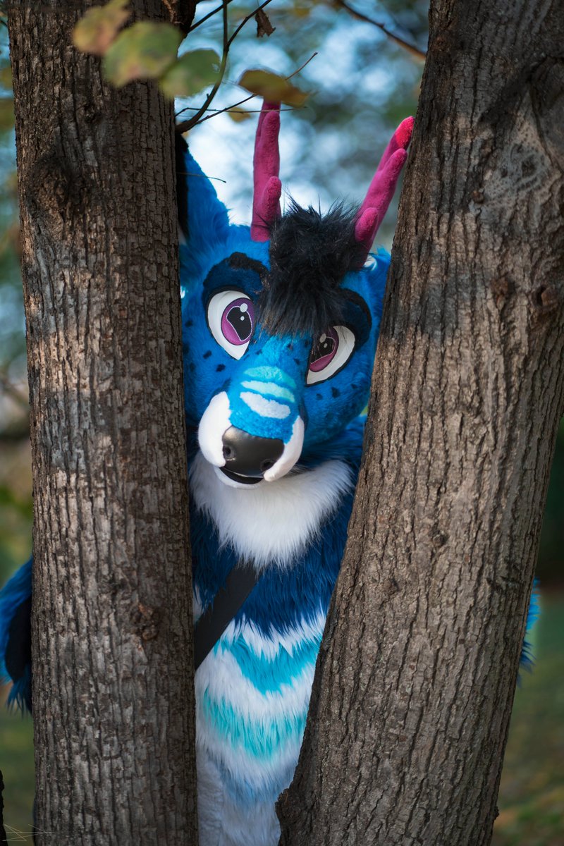 Lick's Photo tweet media