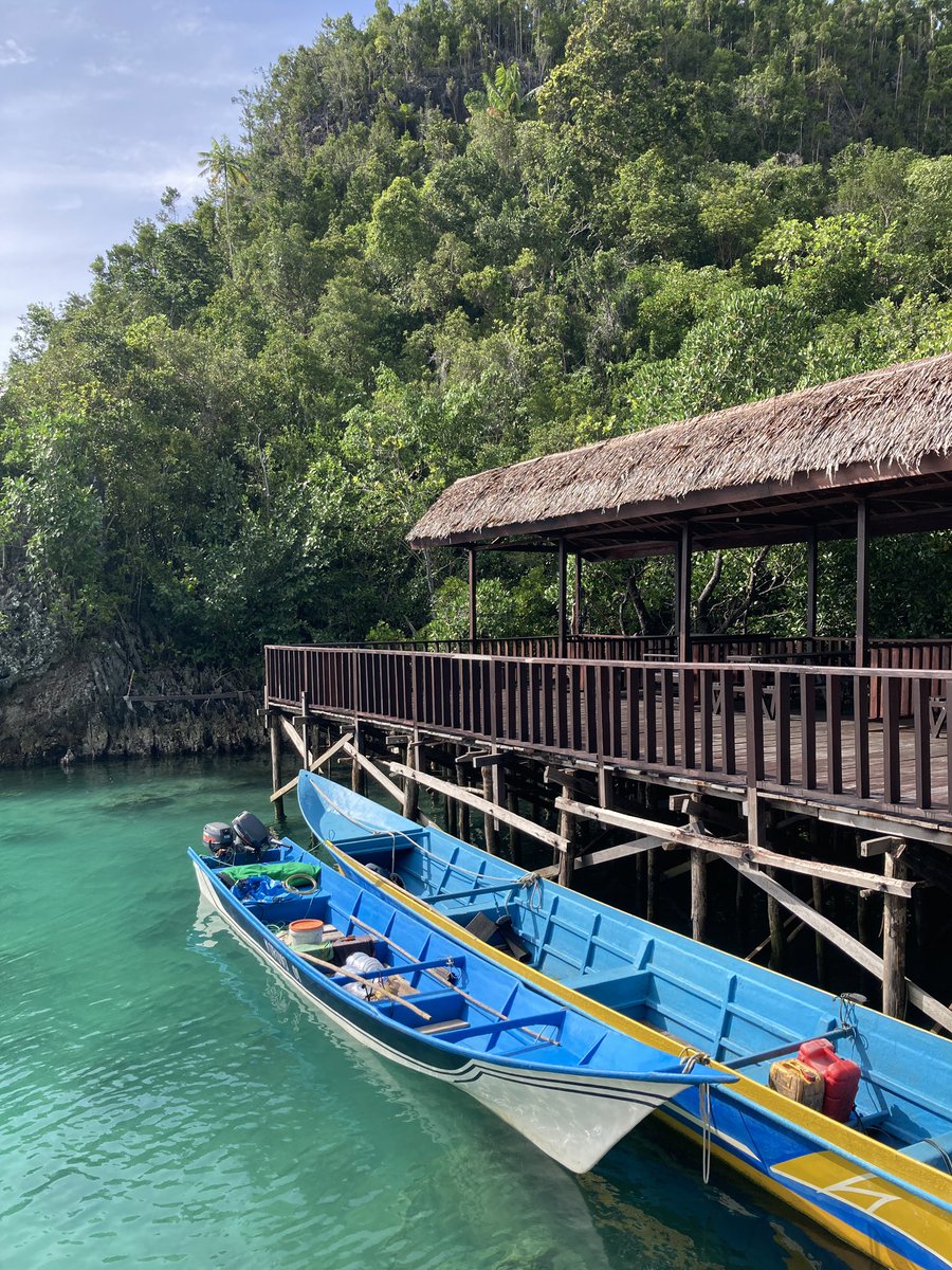 rivaaaaf's tweet photo. ketika foto ngasal tp lu di raja ampat https://t.co/UsVBOrpvM9