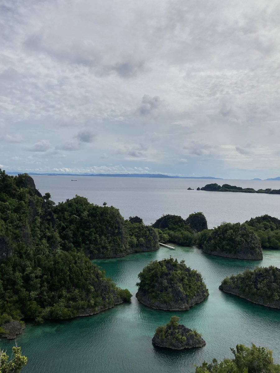rivaaaaf's tweet photo. ketika foto ngasal tp lu di raja ampat https://t.co/UsVBOrpvM9