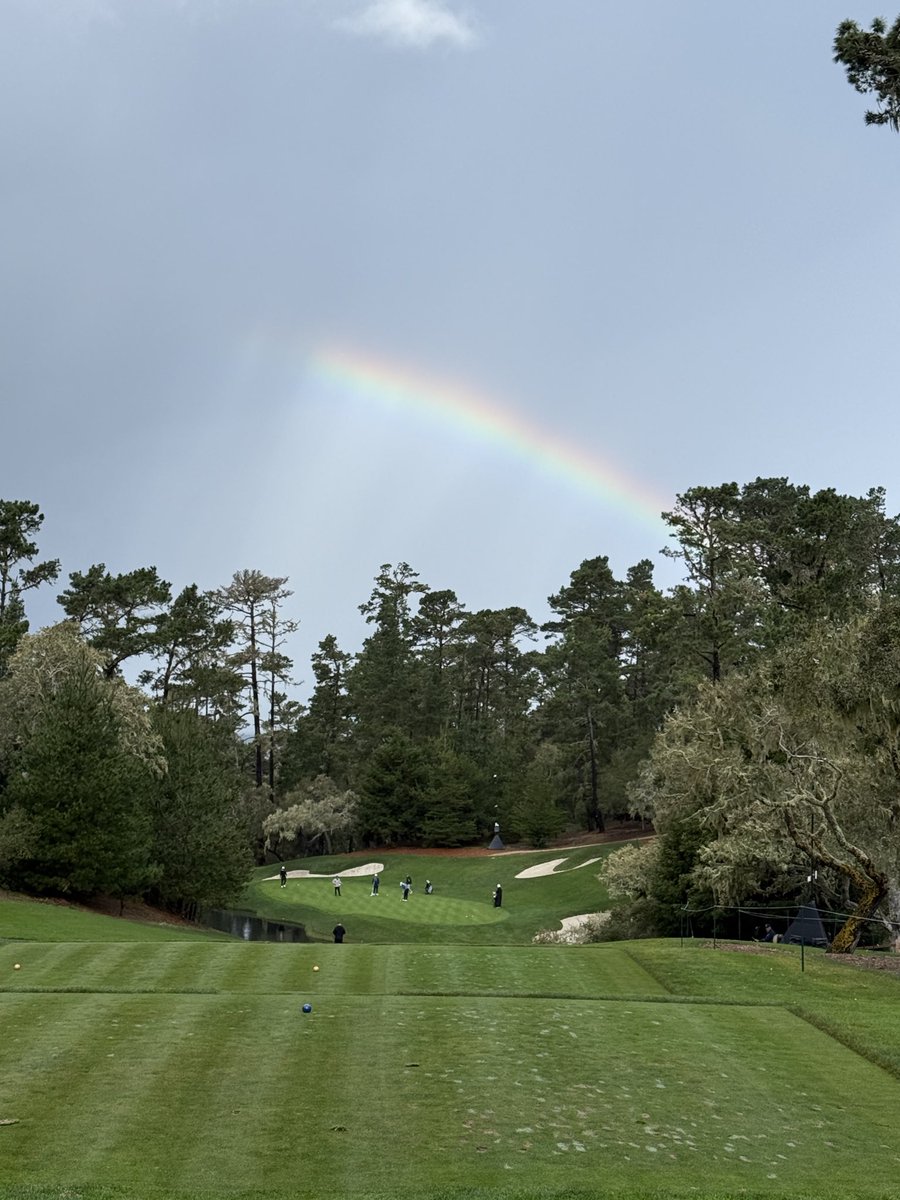 Michael S. Kim tweet media