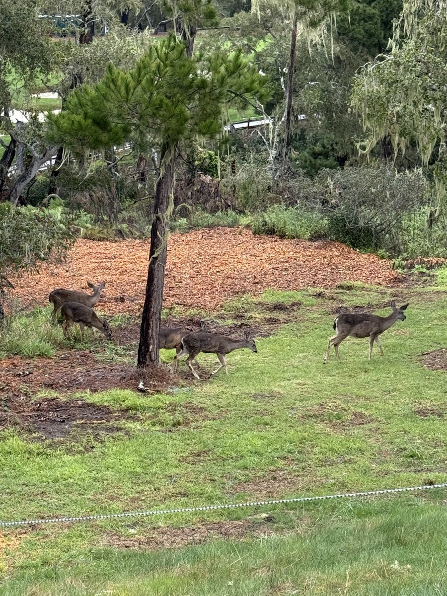 Michael S. Kim tweet media