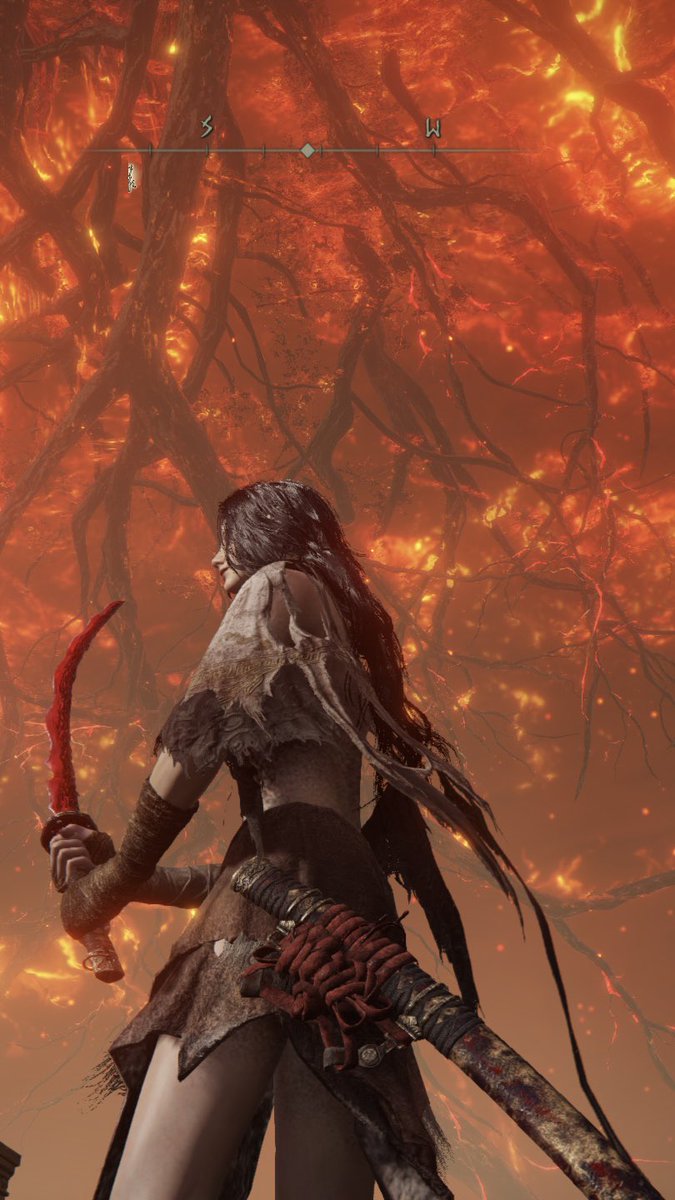 烏耳鹿 tweet media