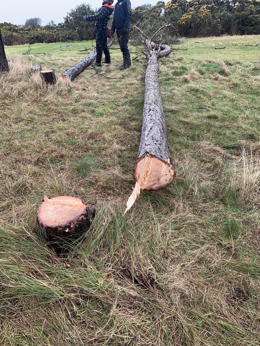 Steven🤟🏻 tweet media