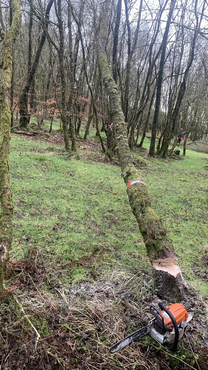 Steven🤟🏻 tweet media