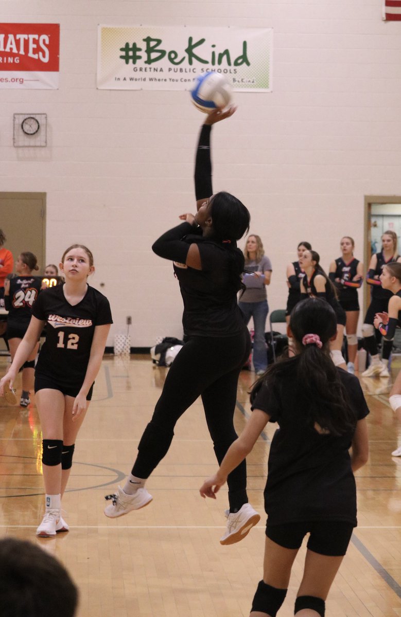 Westview Wolverines Volleyball tweet media