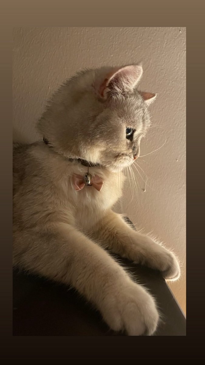 keremmar tweet media