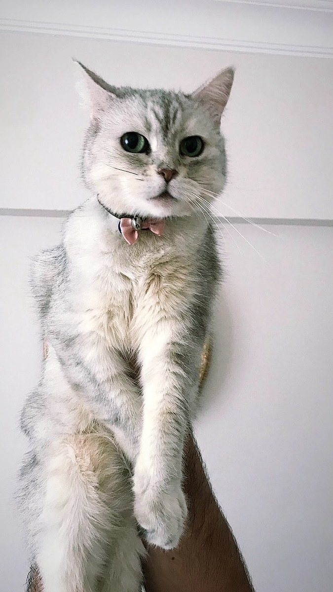 keremmar tweet media