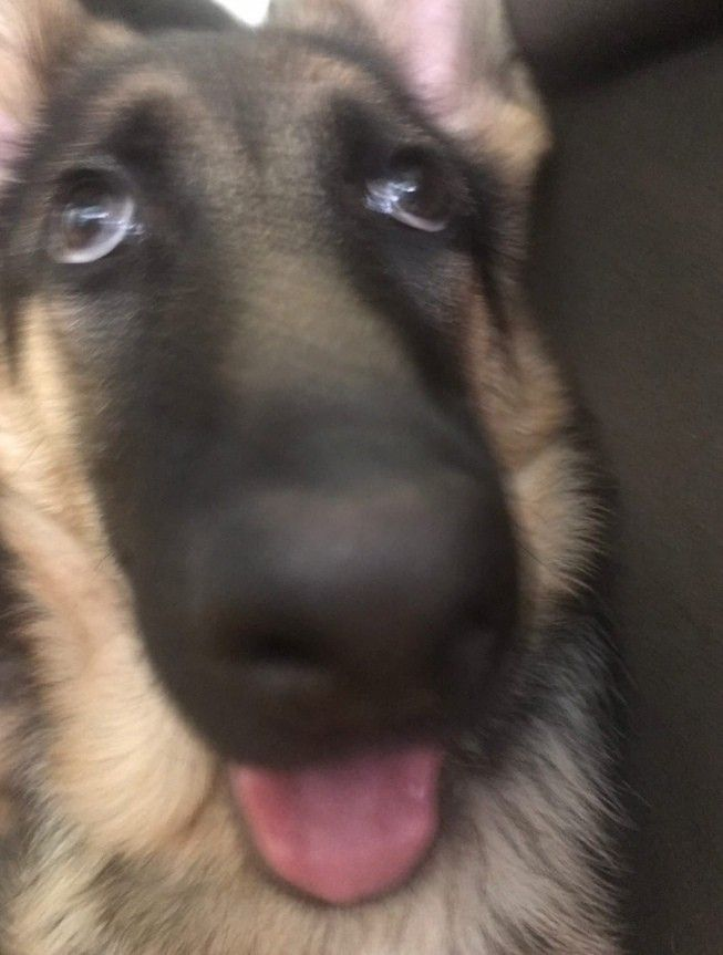 their respective povs