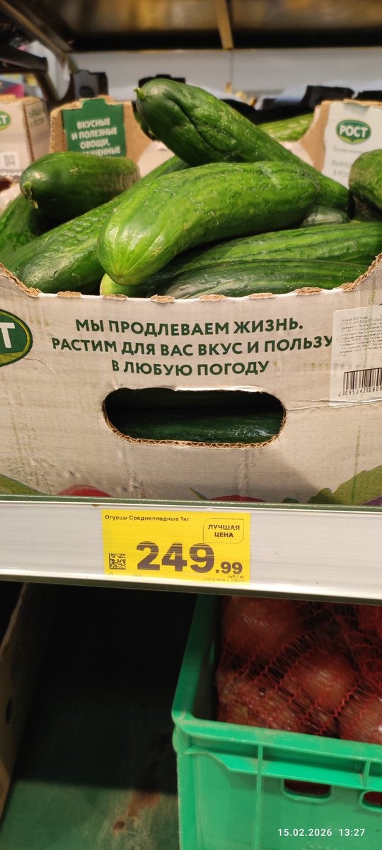 Вчера фото огурцов сделал. Пока дешевле питахайи 😁