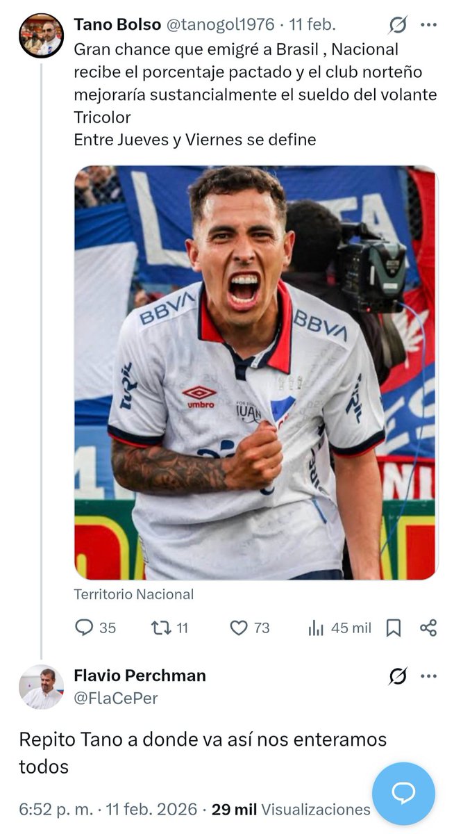 Gerardo Bassorelli tweet media