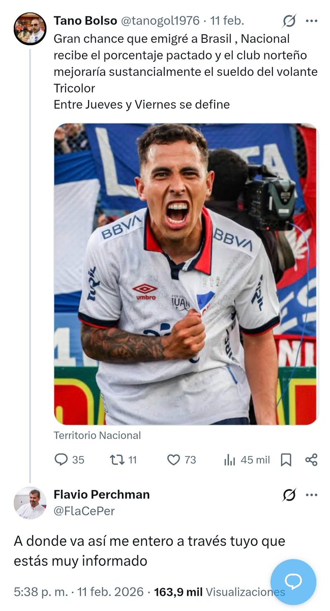 Gerardo Bassorelli tweet media