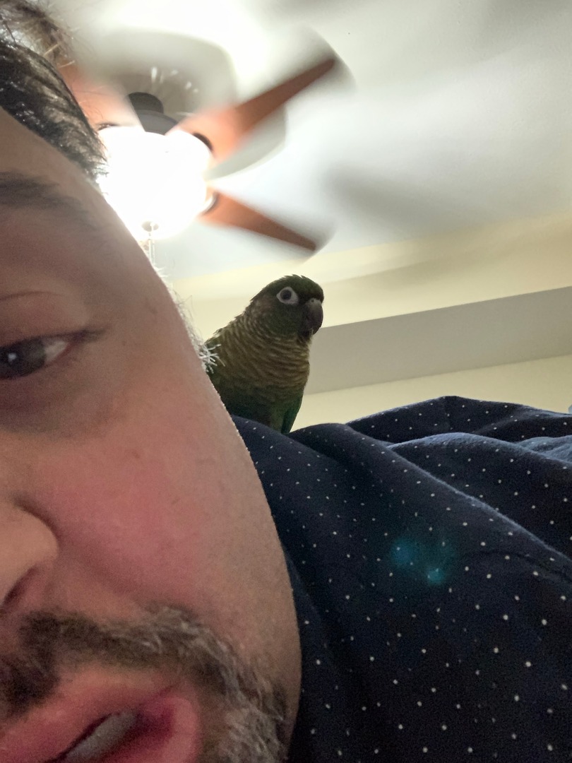 Z3Concepts's tweet photo. Z3 Companion:  Behind every great business are great employees - behind every great employee are loyal companions!  Meet 18-year-old Clover, a Conure full of spunk, energy and love!  Here is Z3's own Chris Bucci, a step-bird-Dad, with his feathered friend!  Who's your companion? https://t.co/QlRlq3ZBxX