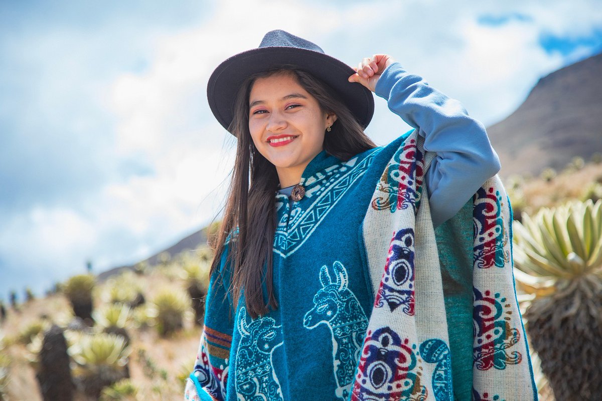 daniel gnoli  tweet media