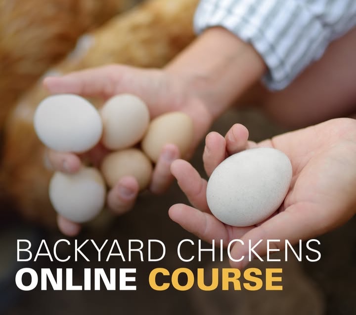 ISU Extension Store tweet media