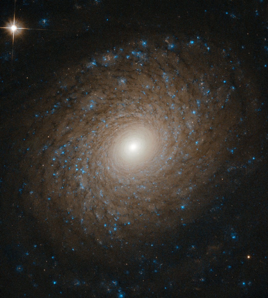 Galaxies come in a wide range of forms and scales, and spiral galaxies are among the most prominent types.

NGC 2985 is a striking example. It lies more than 70 million light-years from our solar system in the constellation Ursa Major.

(Credit: ESA/Hubble &amp; NASA, L. Ho)