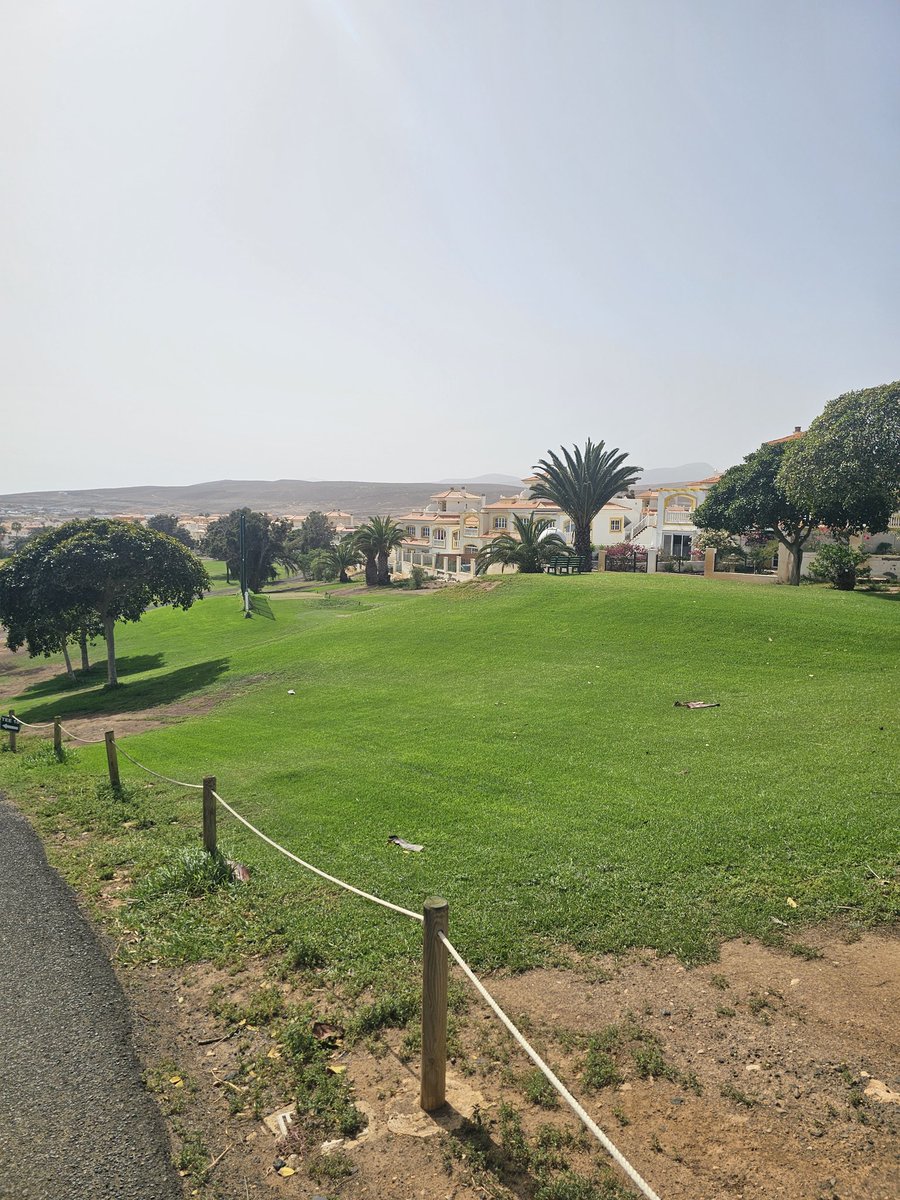 KGS Trainers tweet media