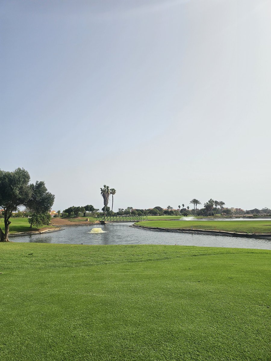 KGS Trainers tweet media