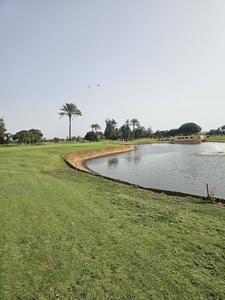 KGS Trainers tweet media