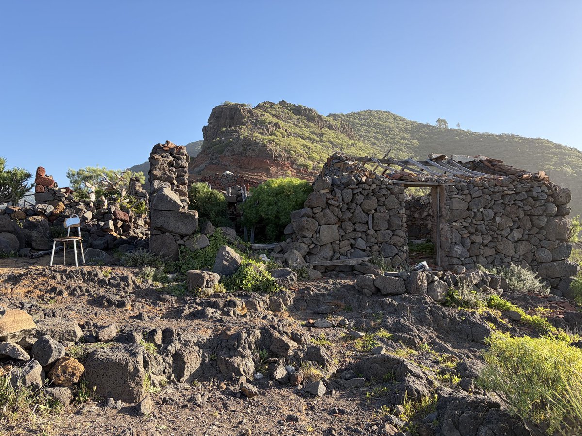 Gerard Sheehy tweet media