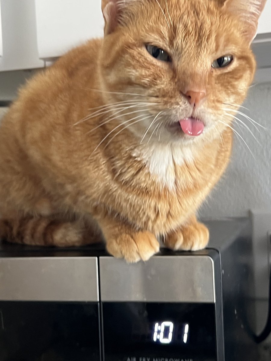 i need the microwave bro