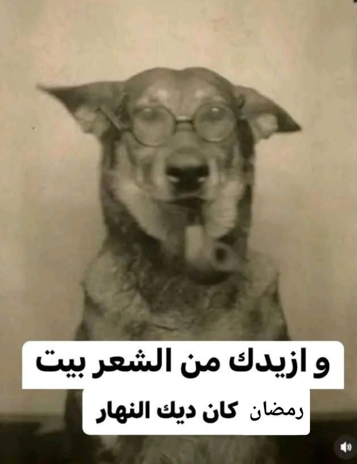 Ahmd_elsayed03's tweet photo. دار الإفتاء بكرة المغرب https://t.co/Sx4UlDrOmM