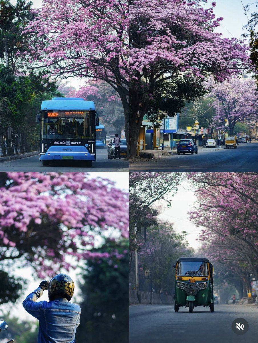 ಅಂಕಿತ್ ಗೌಡ | Ankith Gowda tweet media