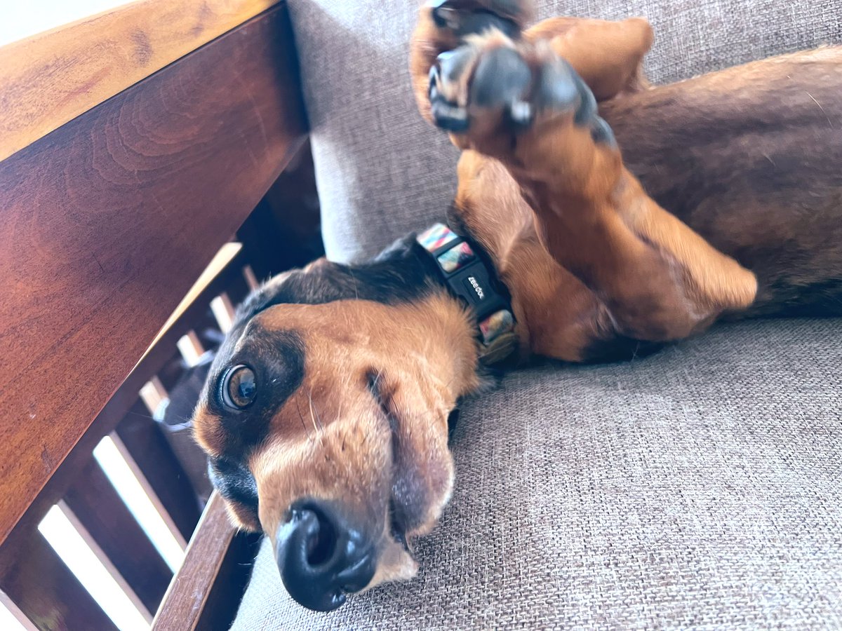 Este señor roba tangas