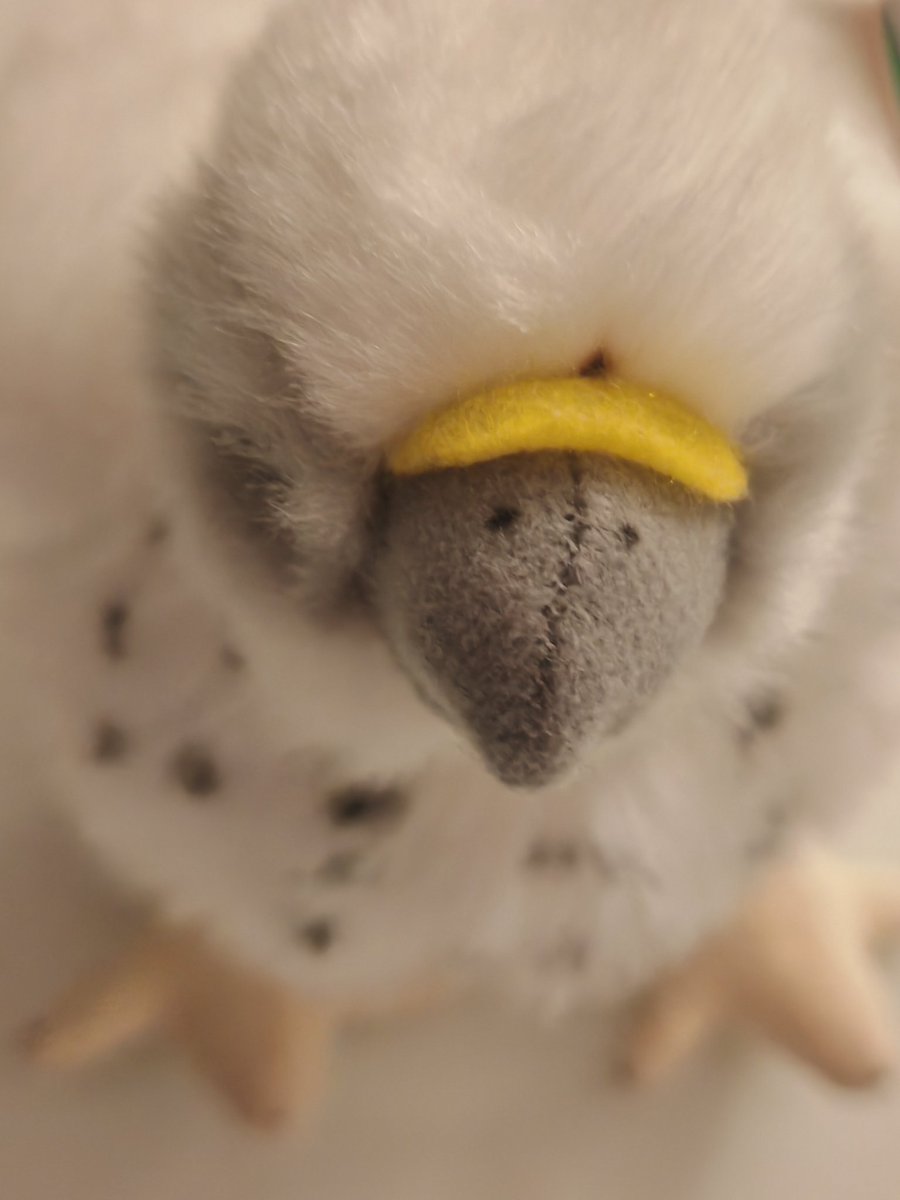 please suggest names for Daughter