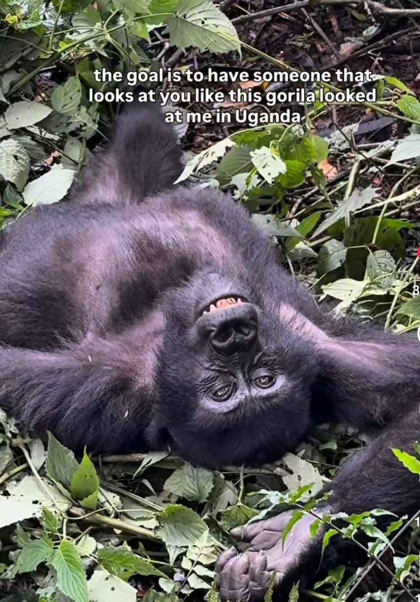 Heureux propriétaire de joie de vivre