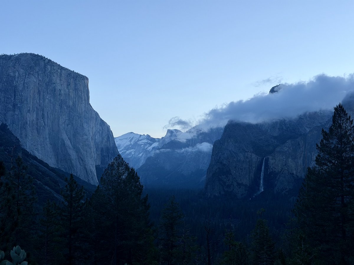 Ally Bell tweet media