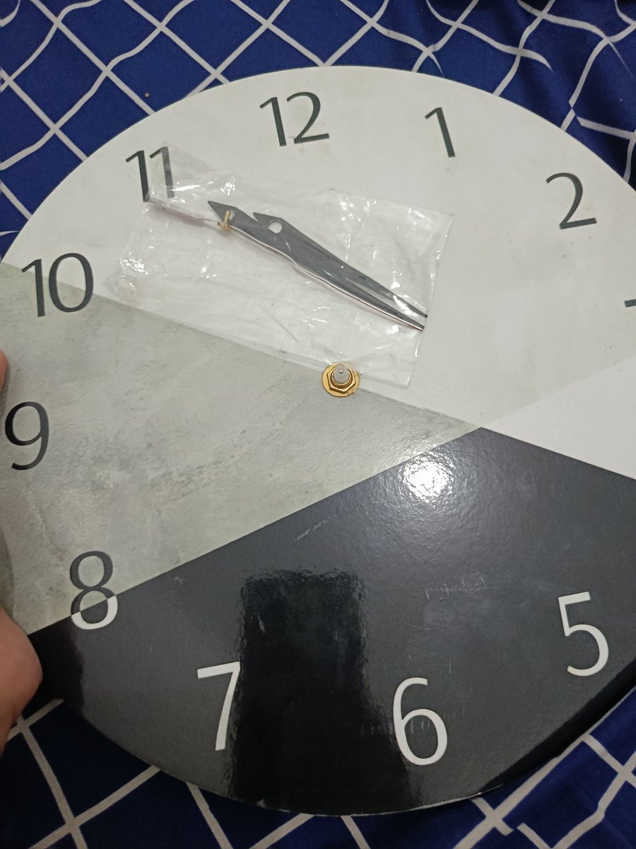 zelzellas tweet media