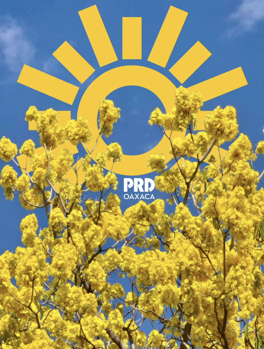 🌼Como este Guayacán amarillo que florece bajo un cielo azul, seguimos firmes, echando raíces y creciendo con esperanza. Porque cuando hay convicción y amor por nuestra gente, siempre se vuelve a renacer.

¡Por un nuevo comienzo Oaxaca!

#PRDOaxaca  ☀️ #PRDRenovado #Oaxaca