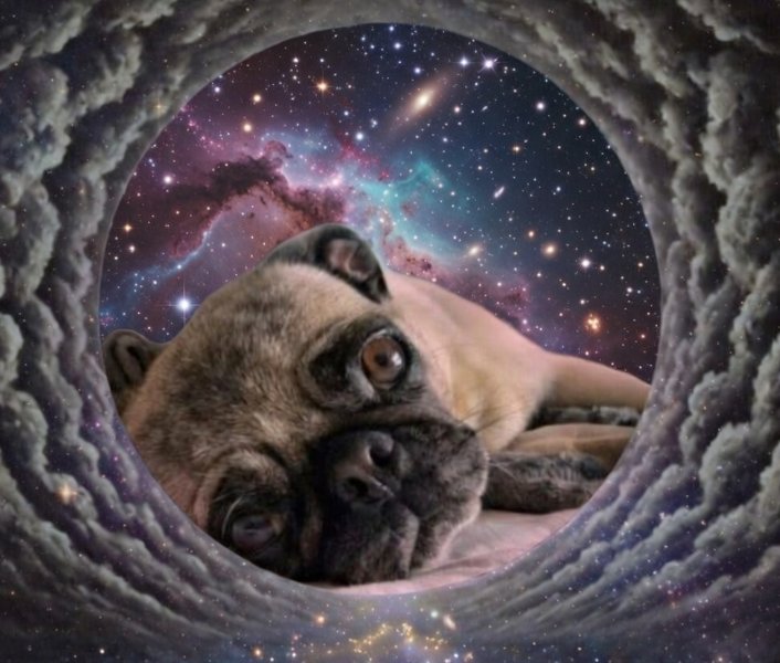 InnerHealthTdy's tweet image. Anyone want a $pugluv airdrop? 3 winners: 100,000 $pugluv and 2 50,000 $pugluv