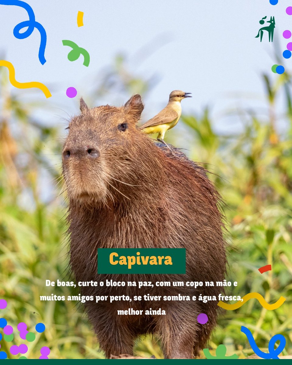 A vida no Cerrado - AVINC tweet media