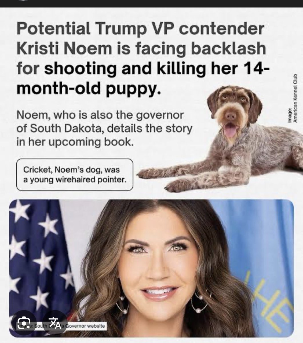 clycalcom's tweet photo. @GavinNewsom They’ll kill both, honestly 😔 https://t.co/BNKBMwwi40